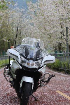 CFMOTO 650TR-G - ფოტო 6