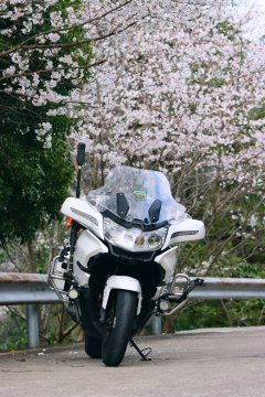 CFMOTO 650TR-G - ფოტო 8