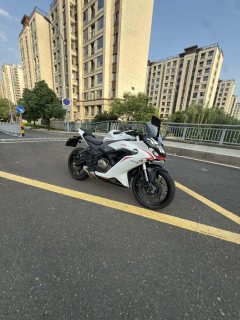 QJMOTOR SRK 250 - ფოტო 2