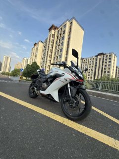 QJMOTOR SRK 250 - ფოტო 3