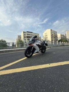 QJMOTOR SRK 250 - ფოტო 8