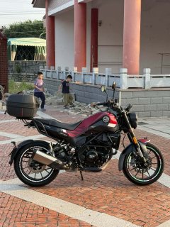 Benelli Leoncino 250 - ფოტო 2