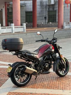 Benelli Leoncino 250 - ფოტო 5