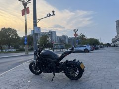 Benelli 502C 500 cc - ფოტო 7