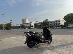 Wangjiang 125 - ფოტო 2