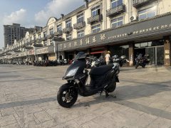 Wangjiang 125 - ფოტო 5