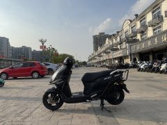 Wangjiang 125 - ფოტო 6