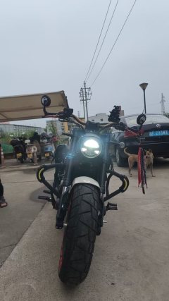 Benda Chinchilla 450 - photo 3