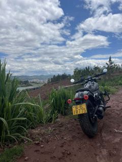 CFMOTO 450CL-C - фото 2