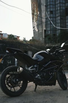 Kayo 250RR Thornbird - photo 2