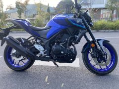 Yamaha MT-03 320 cc - ფოტო 3