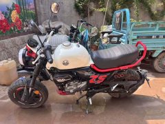 Zongshen Little Bear 150 cc - фото 2