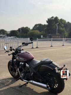 Benda Chinchilla 350 - photo 7