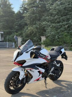QJMOTOR Race 800 - photo 12