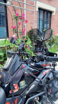 Haojue Suzuki DL250 - ფოტო 4