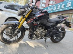 Haojue DR300 - фото 1