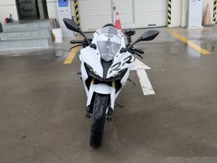 QJMOTOR SRK 250 - ფოტო 2