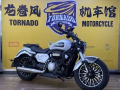 Benda Polestones 03 Gray 300 cc - ფოტო 1