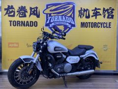 Benda Polestones 03 Gray 300 cc - ფოტო 3