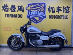 Benda Polestones 03 Gray 300 cc - ფოტო 4