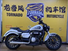 Benda Polestones 03 Gray 300 cc - ფოტო 6