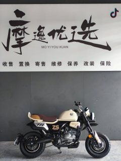Zongshen Little Bear 150 cc - ფოტო 7
