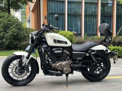 QJMOTOR Flash 300 - ფოტო 3