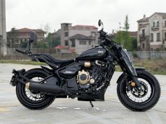 Cyclone RA600 560 cc - ფოტო 2