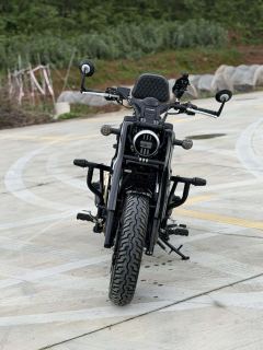 Cyclone RA600 560 cc - ფოტო 3