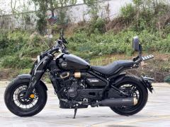 Cyclone RA600 560 cc - ფოტო 4