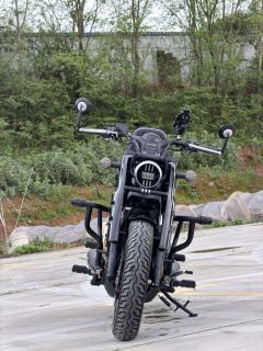 Cyclone RA600 560 cc - ფოტო 6