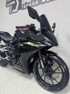 Kayo 250RR Thornbird - ფოტო 4
