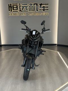 Yamaha MT-03 320 cc - ფოტო 2