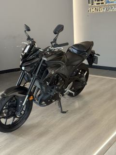 Yamaha MT-03 320 cc - ფოტო 3