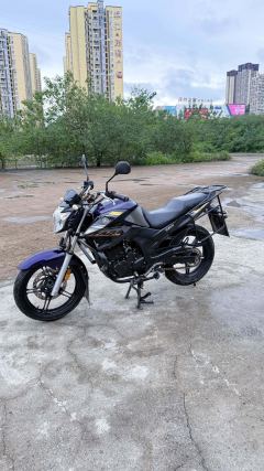 Jianshe Yamaha Fazer YS250 - ფოტო 1