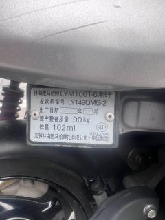 Linhai Fuxi 100 - photo 5