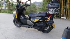 QJMotor Mecha Bee 150 cc - ფოტო 2