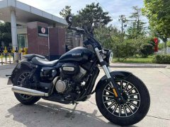 Benda Polestones 03 Gray 300 cc - ფოტო 1