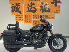 Voge CU250 - фото 6