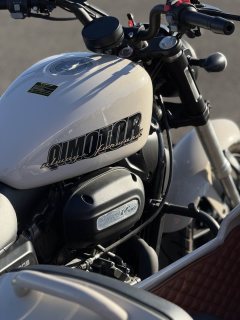 QJMOTOR 300+ - photo 5