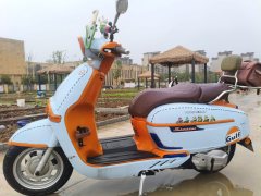 Weiduoliya Sixties 150Si - ფოტო 2