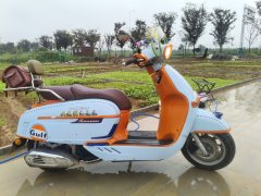 Weiduoliya Sixties 150Si - ფოტო 3