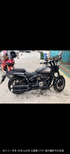 Voge CU250 - фото 1