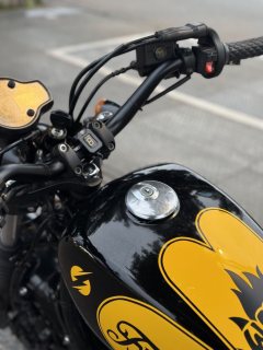 Hyosung GV300S - ფოტო 10