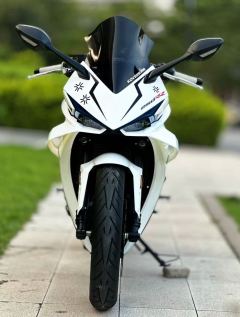 Kayo 250RR Thornbird - ფოტო 2