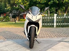 Kayo 250RR Thornbird - ფოტო 2
