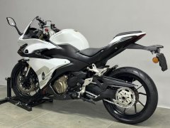 QJMOTOR Sai 450 - photo 5