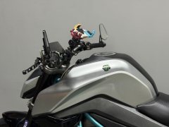 CFMOTO 250NK - photo 8