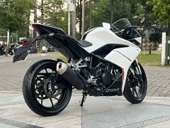 Kayo 250RR Thornbird - ფოტო 7