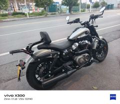Benda Chinchilla 250 - photo 4
